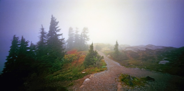 Camera: Holga 120WPCFilm: Kodak Ektar 100Location: Artist Point - Mount Baker, Washington State